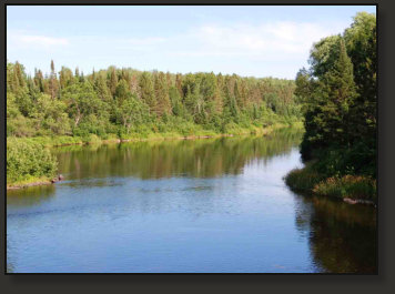 Upper Peninsula Rivers and the fish that inhabit them.