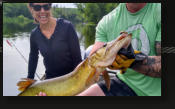 Fishing, Professional Fishing Guide, Guide Service, Upper Michigan, Float trips, Musky, Smallmouth Bass, Musky on the fly, Top-water Bass, Michigan, Iron County, Fishing Guide, Boat Trips, Personal Fishing Guide, Upper Peninsula, MI, Crystal Falls, Upper 