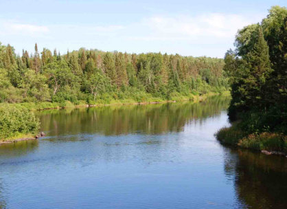 Upper Peninsula Rivers and the fish that inhabit them.