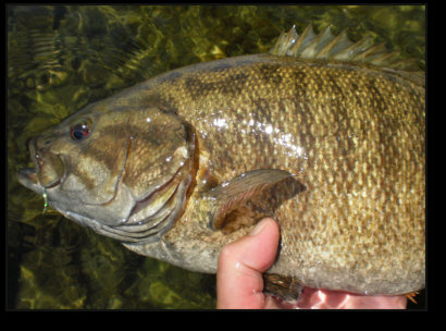Smallmouth Bass Fishing with a Professional Fishing Guide in Crystal Falls
